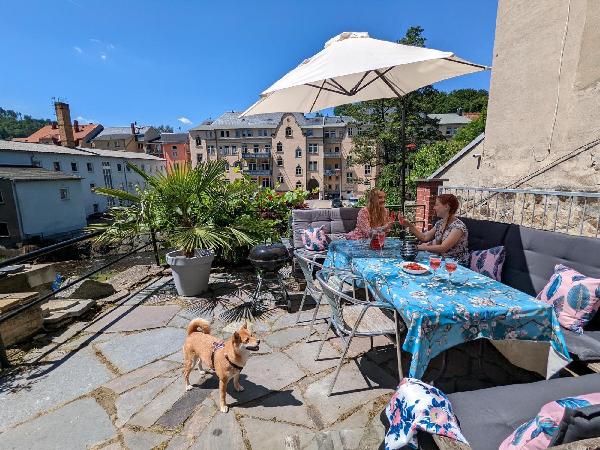 Hw4B - Urlaubsmagie - Zentral Mit Gemeinschaftsgarten, -Pool, -Sauna & Whirlpool Зебниц Экстерьер фото