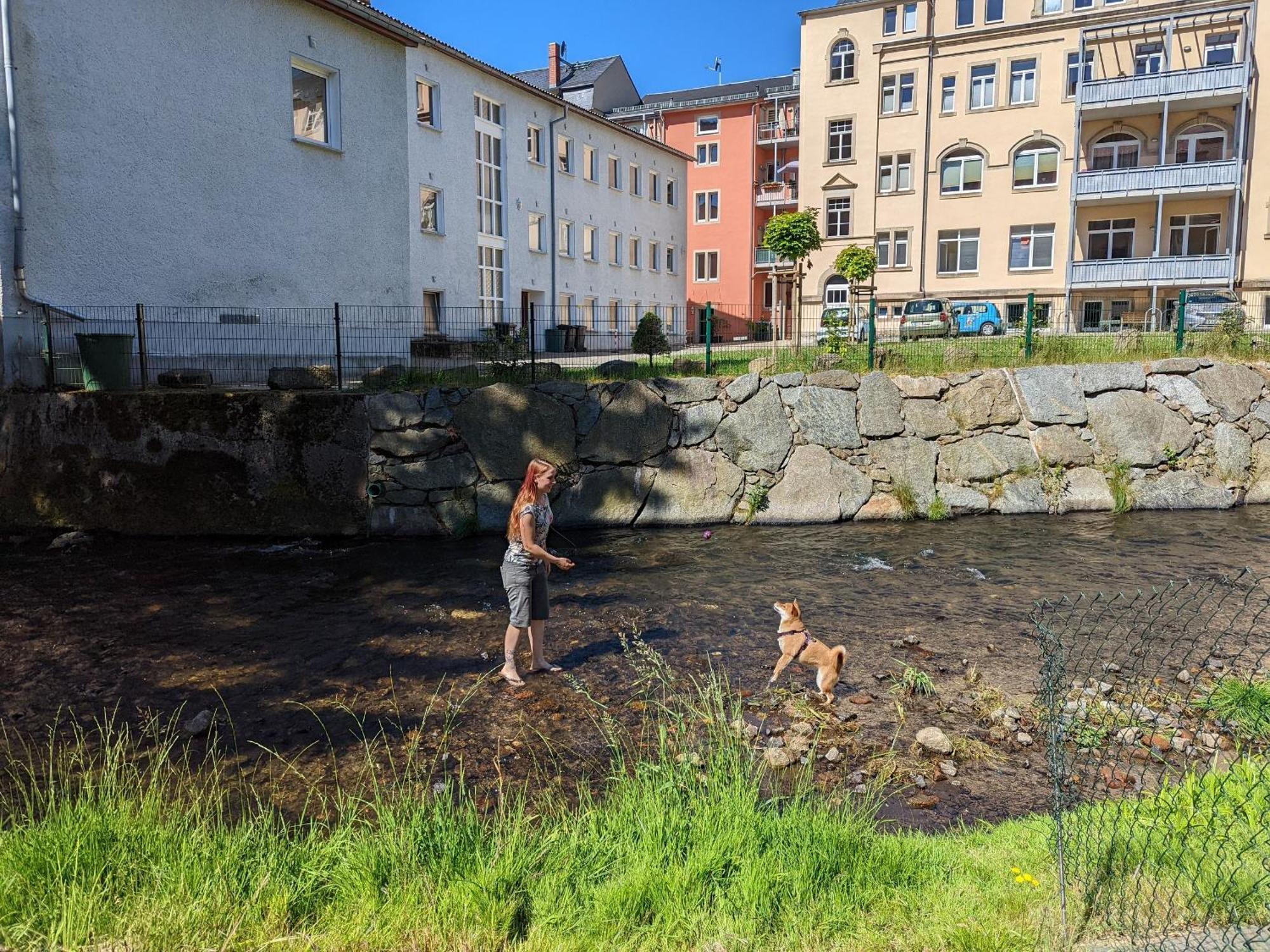 Hw4B - Urlaubsmagie - Zentral Mit Gemeinschaftsgarten, -Pool, -Sauna & Whirlpool Зебниц Экстерьер фото